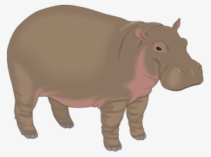 Hippopotamus Clipart #1550783