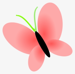 Stars Transparent Background - Flowers Clip Art Transparent Background #1552255