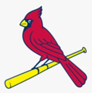 St Louis Cardinals Bird On Bat #1552365