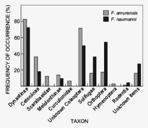Frequency Of Occurrence Of Each Prey Category Represented - Iva In Italia #1553860 Frequency Of Occurrence Of Each Prey Category Represented - Iva In Italia #1553860
