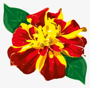 Flor Png - Flor Da Amazonia Png #1554907