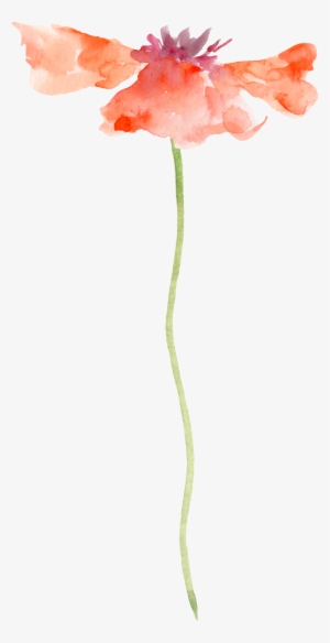 Watercolour Flowers Painting Watercolor Transprent - Transparent Watercolor Painting Flower Png #1554957