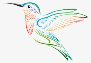 Beija Flor Em Png Vetorizado - Hummingbird Tattoo Drawing #1554961