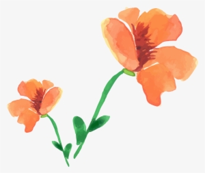 Watercolor Painting Flower Painted Floral Decoration - Watercolor Painting #1555021