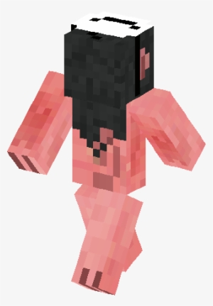 Installation - Minecraft #1555419