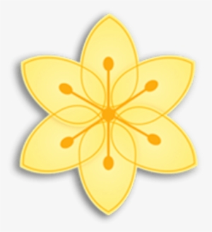 Flor #1555527
