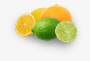 For Our Margaritas - Produtos De Limpeza Caseiro #1555719