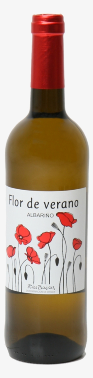 Colchester Royal Grammar School And The Great War #1555789