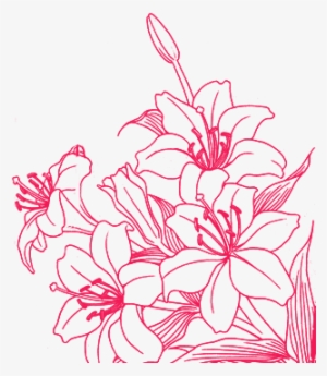 Flor Marca De Agua #1555813