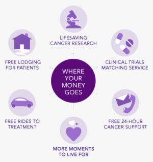 Wondering Where The Money Raised From Relay For Life - Relay For Life Money Goes #1555816