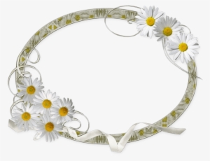 Marco De Foto Margaritas - Marcos Para Fotos De Margaritas #1555863