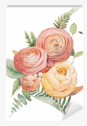 Wall Murals Watercolor Flowers Bouquet Hand Painted - Ranunculus Botanical Illustration #1557072