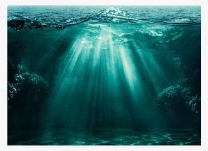 Light Ocean Underwater Deep Sea - Ostrich Effect: Solving Destructive Patterns At Work #1557648