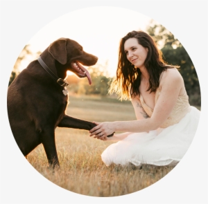 Dog Catches Something #1558144