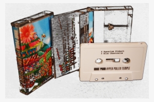 Kane Pour Hyper Pollen Temple #1558316