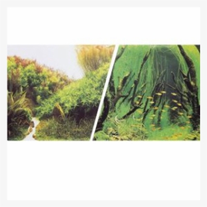 Untitled-800x600 #1558501