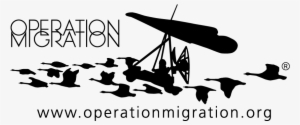 Operation Migration #1559249