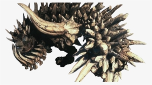 Monster Hunter World Radobaan #1559324