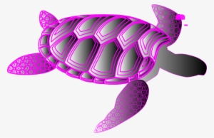 Sea Turtle Clipart Pink - Purple Turtle Clipart #1560318