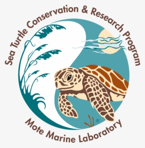 Sea Turtle Clipart Track - Save Turtles Logo Round Car Magnet #1560345