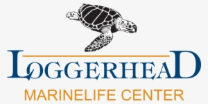 Saturday, March 24th - Loggerhead Marinelife Center #1560426