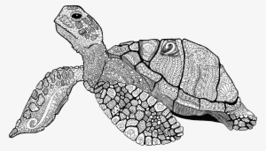 Big Image - Adult Coloring Turtle Printable #1560545