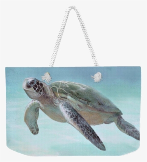 Home Decor & Accessories - Loggerhead Sea Turtle #1560547