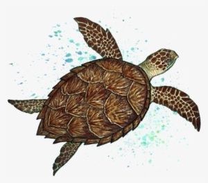 Click And Drag To Re-position The Image, If Desired #1560597