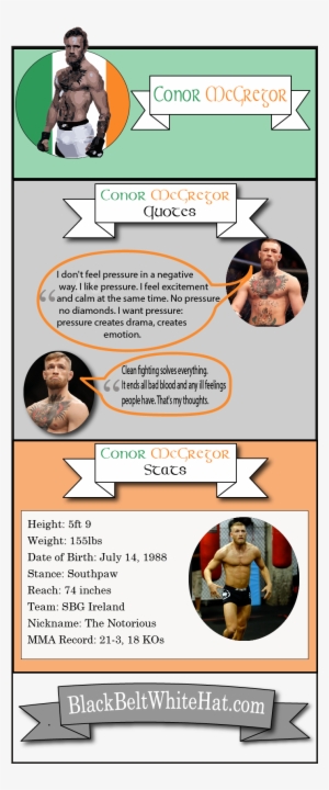 Conor Mcgregor Infographic - Lingerie #1560618