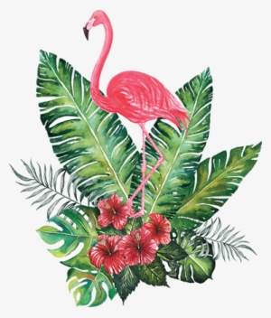 Tropical Png - Flamingo Tropical Png #1561496