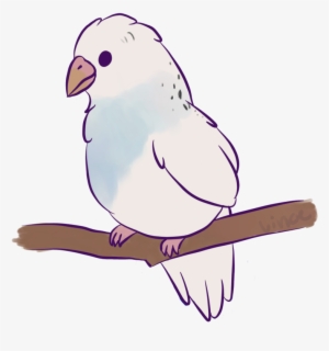 Clipart Freeuse Birb Drawing - Birb Drawing #1562984