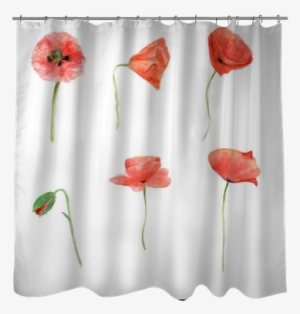 Red Poppy, Watercolor Flower Collection, Floral Hand - Drawing #1563832