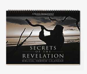 $19 - - Biblical Hebrew #1564162