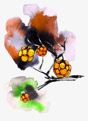 Brancheoiseaux1 Branchefruits1 Titre 4 Branchevide1 - Child Art #1564792