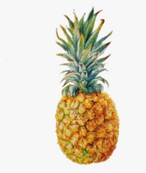 Transparent Pineapple - Pineapple Png #1565546