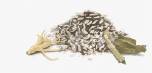 Deer #1565668