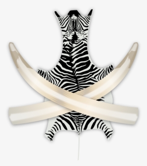 Trophies Png #1566144