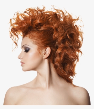 Start Your Career Today - Curly Mohawk Long Hair #1566352