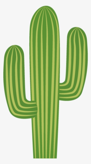 Cactaceae Download - Cactus Png #1566547