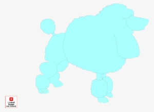 Small - Dog #1569155