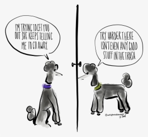 Clip Download Maltese Drawing Teacup Poodle - Poodle #1569343