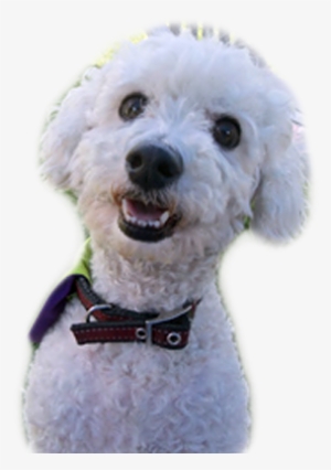 Action - Pennsylvania #1569486