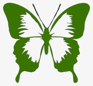 Butterfly Png #1569504