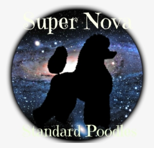 Diy Painting Universe Diamond Cross Stitch Resin Stone #1569552