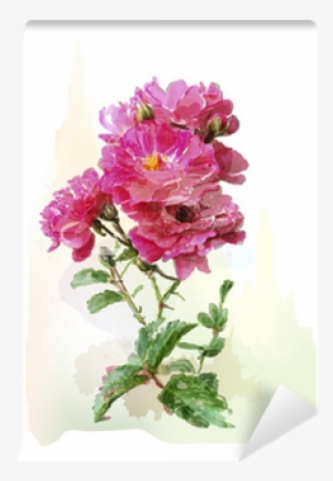 Watercolor Illustration Of The Pink Roses Wall Mural - Illustration #1570953