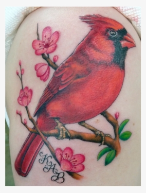 Randie - Northern Cardinal #1571070