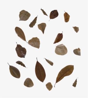 Fall Leaves 3 Png Free To Use By Kibblywibbly-d9anpwp - Leaf #1571818