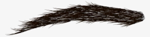 Eyebrows Images Pluspng World - Eyebrow Png #1572759