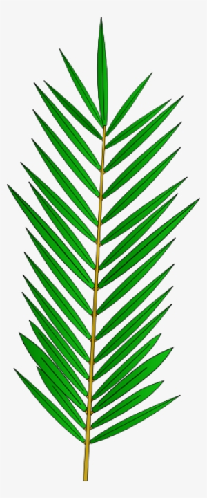 Clipart Feuille De Palmiers #1574379