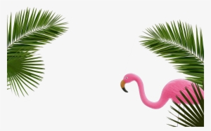 Palms - Society6 Palm Leaf Black & White I Rug - 2' X 3' #1574510